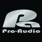 ECUALIZADOR PA PRO AUDIO