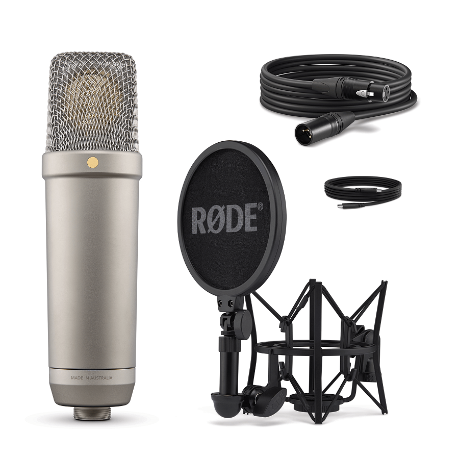 BOYA Micrófono XLR de condensador cardioide de diafragma grande para  estudio, podcasting y transmisión, grabación de voces, instrumentos  acústicos